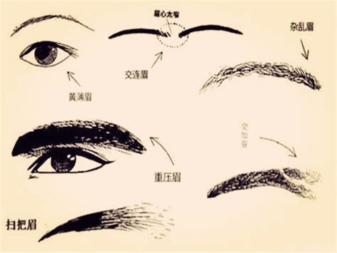 右眉毛|面相入门